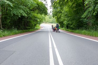 Skovgruppen i Lille-Gryn krydser vejen i Svaneke på Bornholm..
