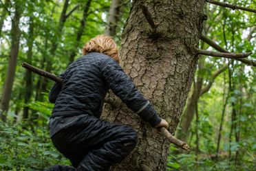 Barn i Lille-Gryn kravler i et træ i skoven ved Svaneke på Bornholm.