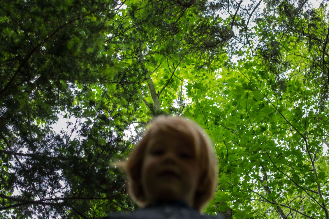 Skovgruppebørn i Lille-Gryn leger i skoven ved Svaneke på Bornholm.