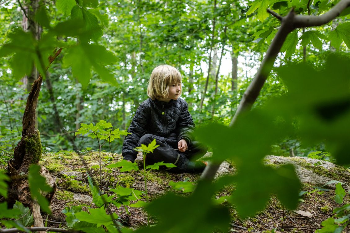 Skovgruppebørn i Lille-Gryn leger i skoven ved Svaneke på Bornholm.