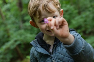 Skovgruppebarn i Lille-Gryn viser en blomst i skoven ved Svaneke på Bornholm.