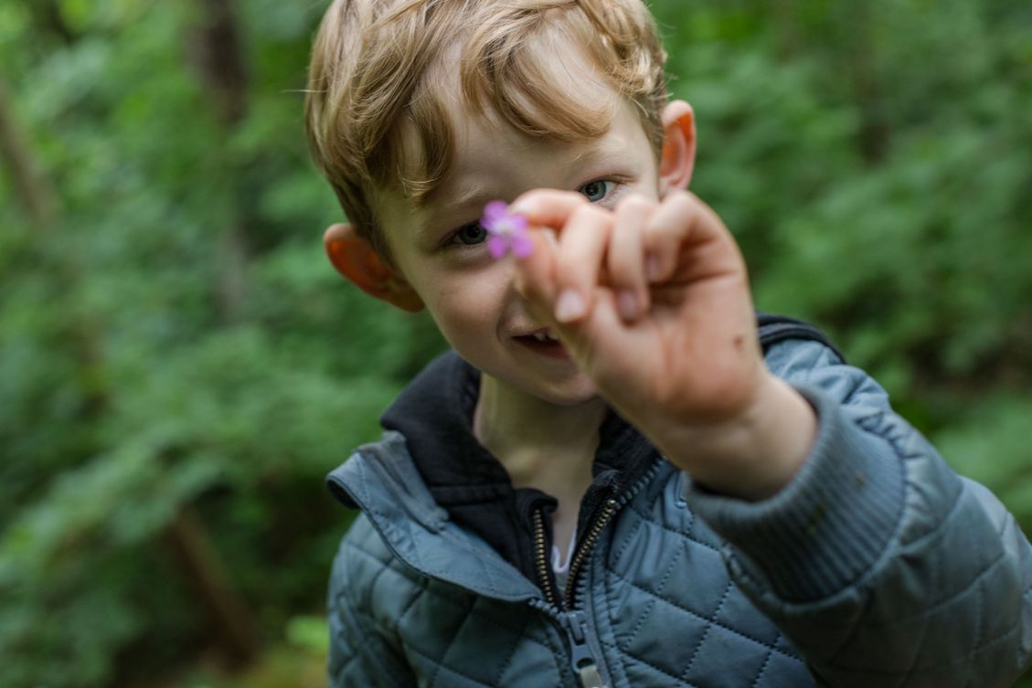 Skovgruppebarn i Lille-Gryn viser en blomst i skoven ved Svaneke på Bornholm.