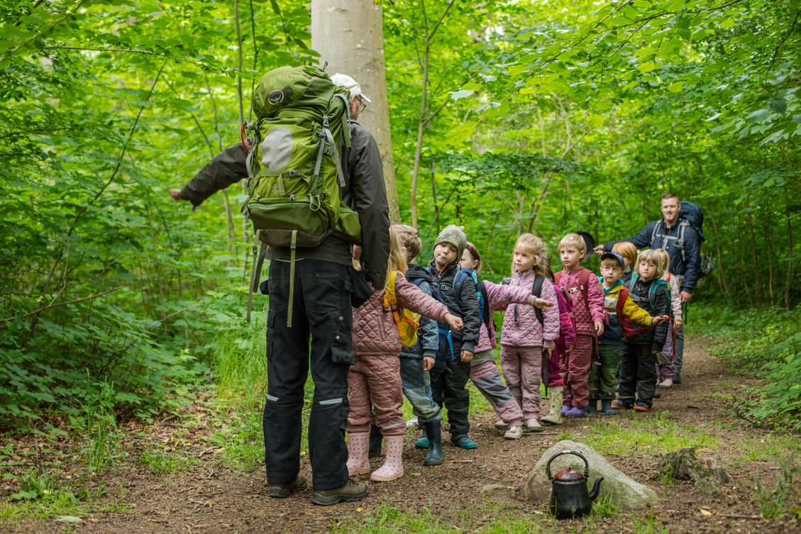 Skovgruppen i Lille-Gryn i skoven ved Svaneke på Bornholm..