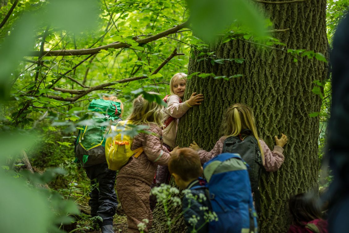 Skovgruppen i Lille-Gryn krammer et træ på deres daglige tur i skoven ved Svaneke på Bornholm..